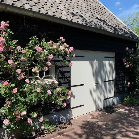 De Porrel Polsbroek Unit Met Prive Jacuzzi, Spa En Sauna Exterior photo